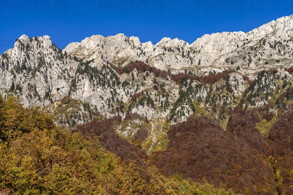 Autumn mountain landscape near Durmitor National Park