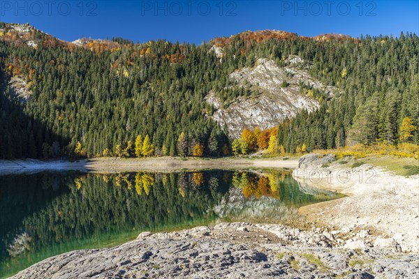 The Black Lake or Crno jezero