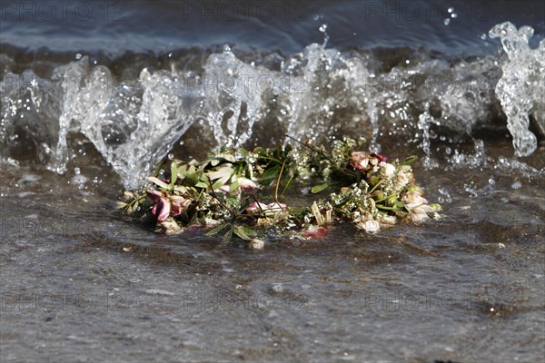 Marine litter washed up on the beach