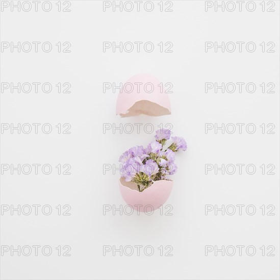 Lovely flowers eggshell