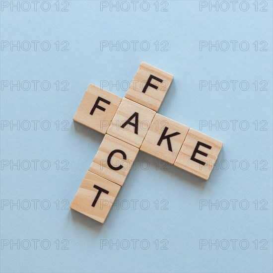 Wooden letters with fake news