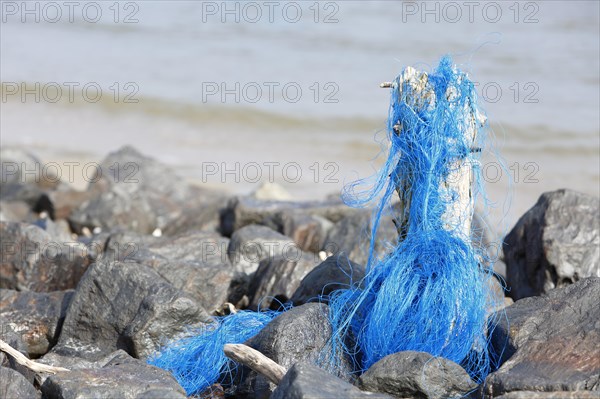 Marine litter washed up on the beach