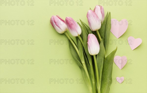 Mothers day tulips bouquet