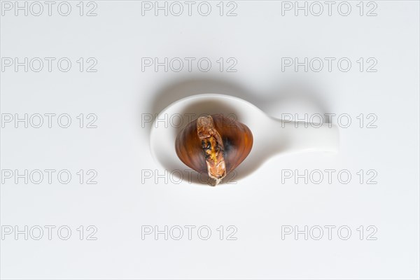 Seasonal chestnuts harvested from the field on a white background