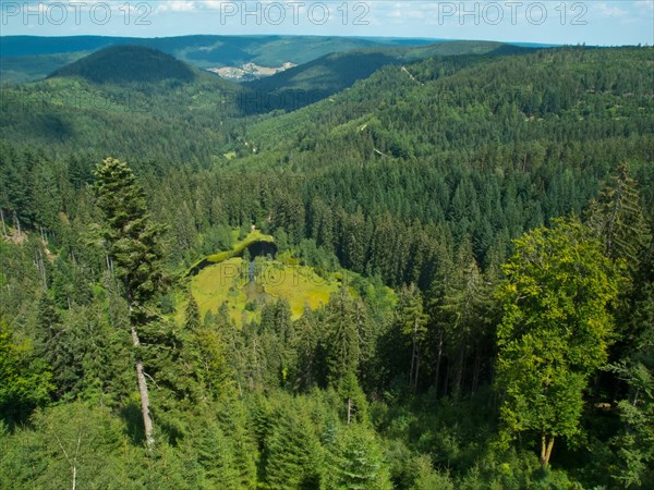 View of Ellbachsee