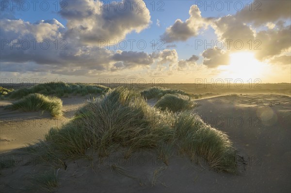 Sand dune