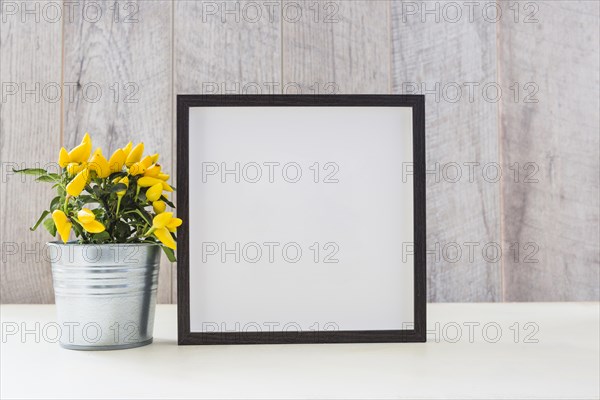 Yellow hot chili peppers silver pot white picture frame table