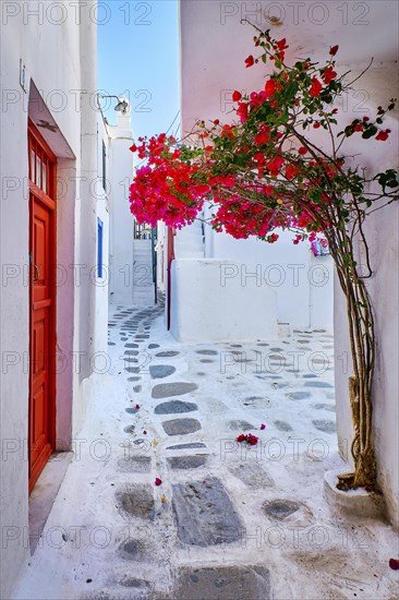 Traditional narrow streets