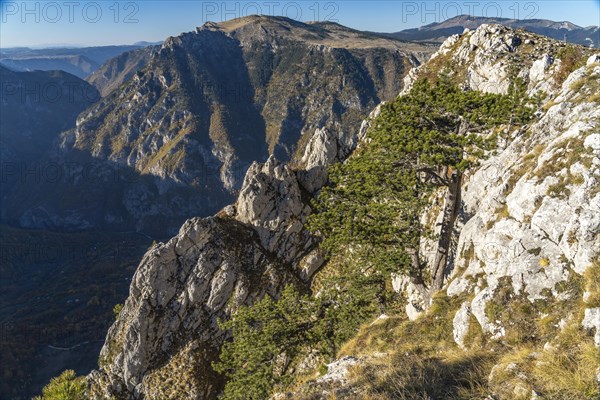 View from the lookout peak Curevac into the Tara Gorge