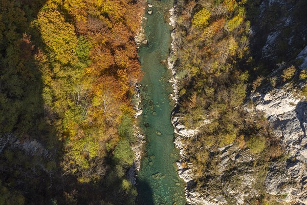 Tara River and Gorge in Autumn