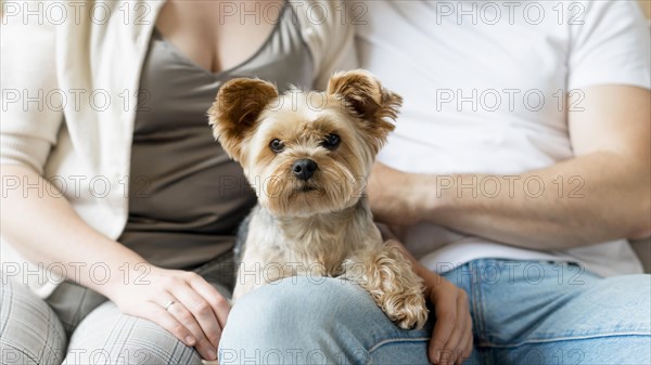 Married couple their dog