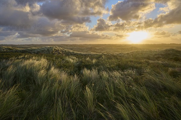 Sand dune