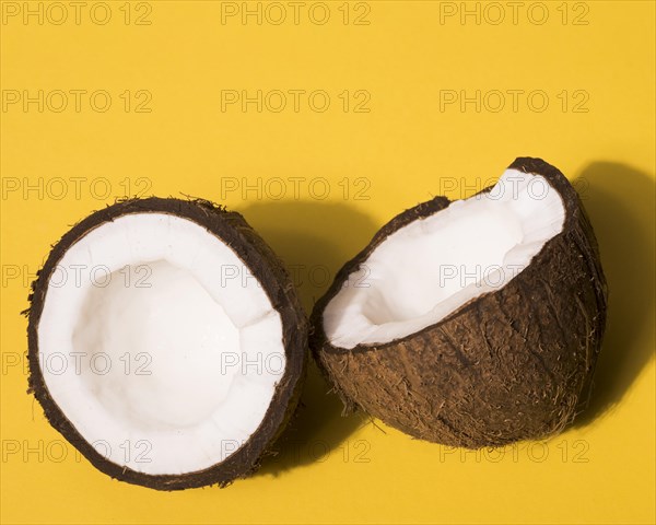 Close up view coconut concept