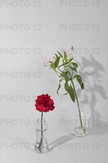 Blossom flowers vase table 8