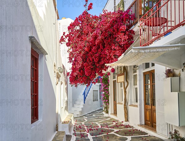 Traditional narrow streets