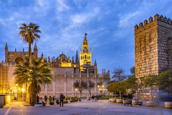 Santa Maria de la Sede Cathedral at dusk