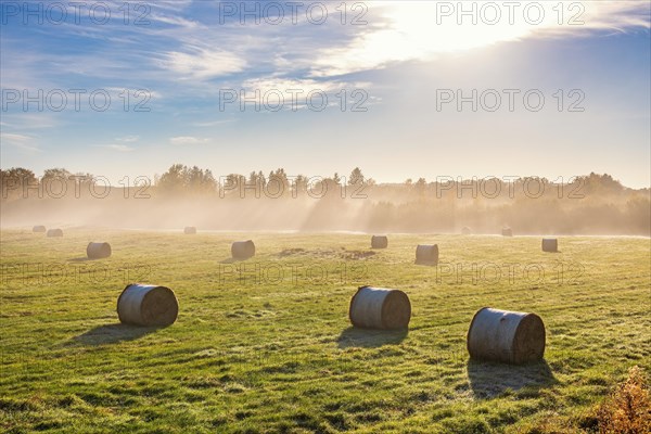 Straw bales on a field with autumn fog and sunshine