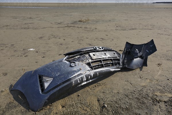 Marine litter washed up on the beach