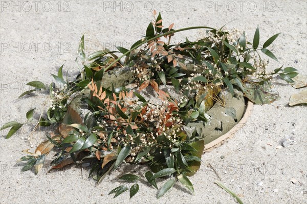 Marine litter washed up on the beach