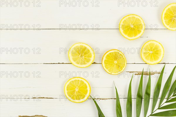 Lemons palm leaf table