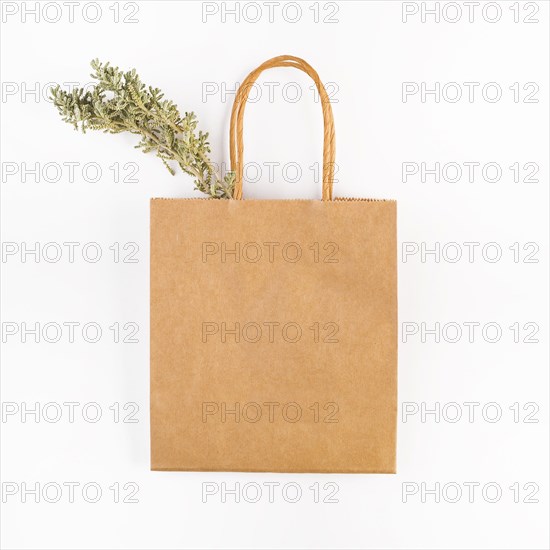 Paper packet dry twig