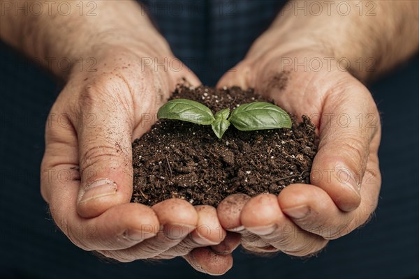 Front view male hands holding soil growing plant