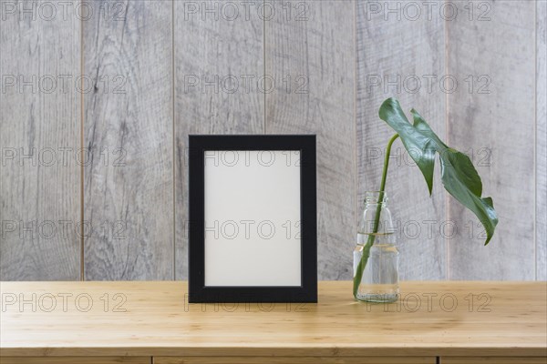 Monstera leaf glass bottle frame wooden table