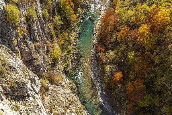 Tara River and Gorge in Autumn