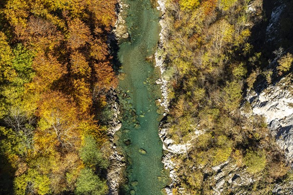 Tara River and Gorge in Autumn