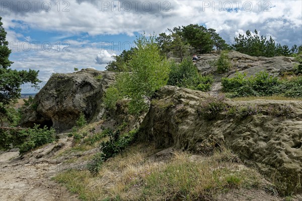 Rock formation at the Teufelsmauer near Timmenrode