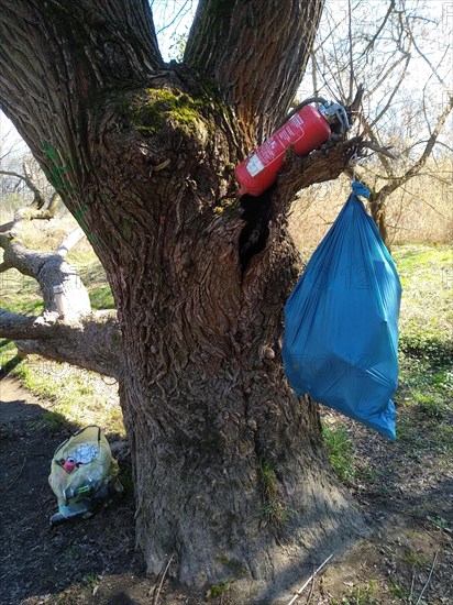 Illegally dumped rubbish in a nature reserve