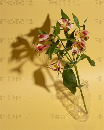 Blossom flower vase table 1