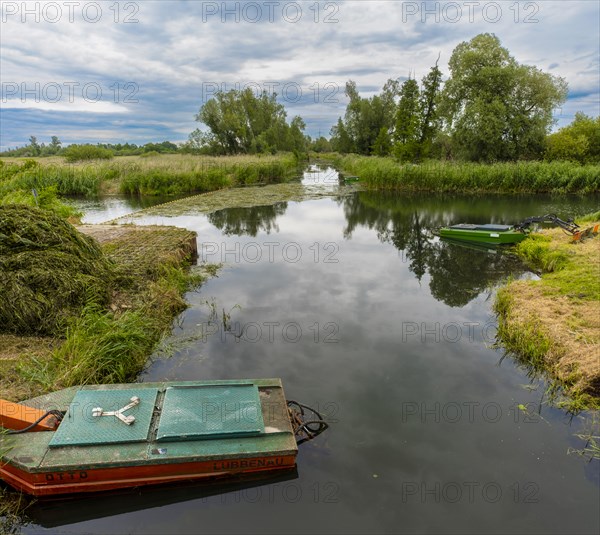 Spree near Luebbenau