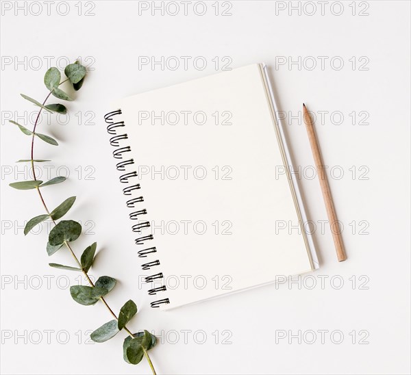 Top view notepad with green leafs concept