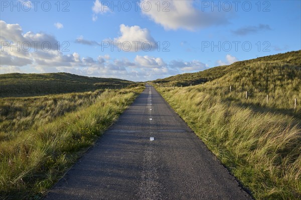 Bicycle path