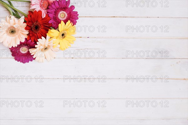 Bunch colorful different flowers table 1