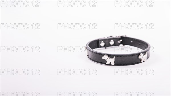 Dog collar white