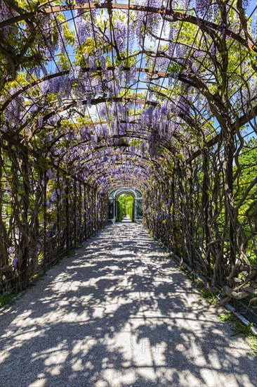 Walkway with blue rain