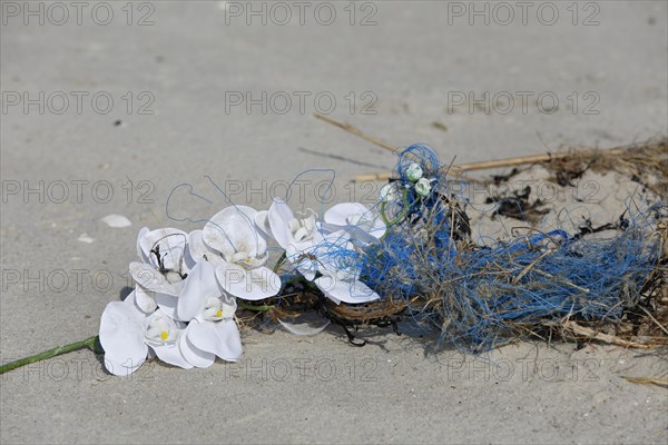 Marine litter washed up on the beach