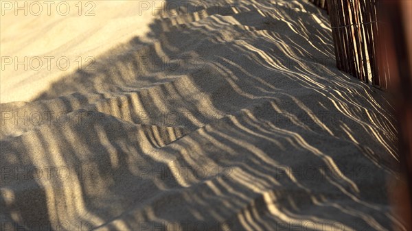 Natural beach sand resource