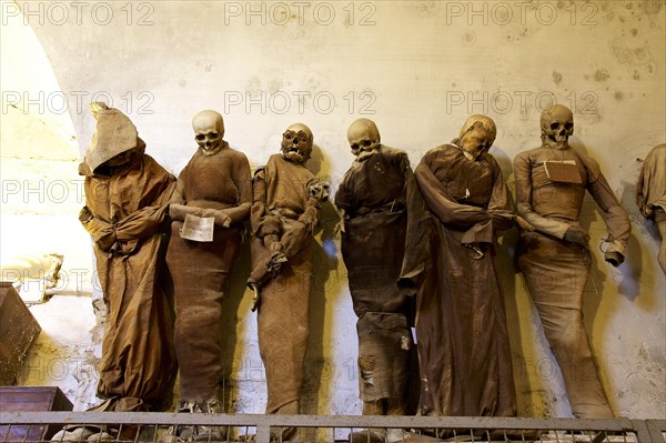 Six standing mummies side by side
