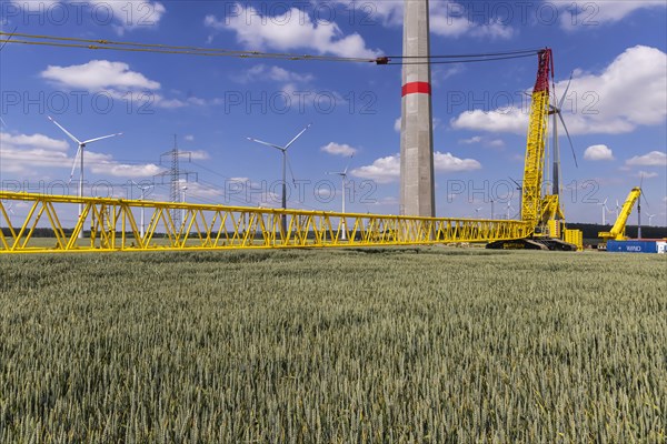 Sintfeld wind farm