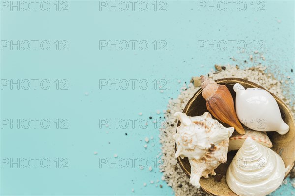 Sand around seashells placed coconut shell