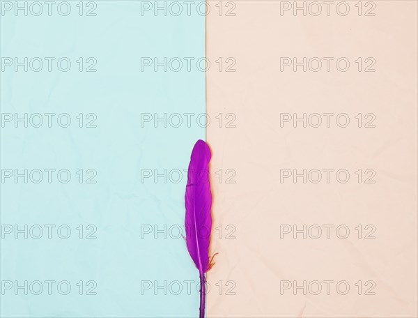 Top view single pink feather against turquoise beige background