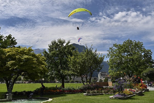 Paraglider Hoehenmatte