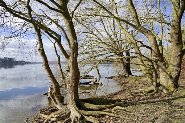 Moehnesee