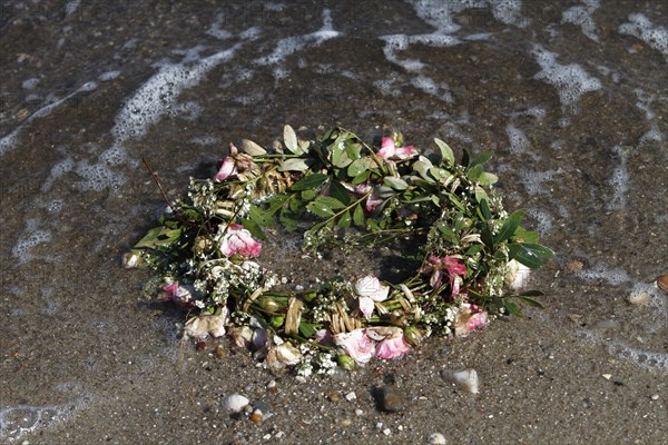 Marine litter washed up on the beach