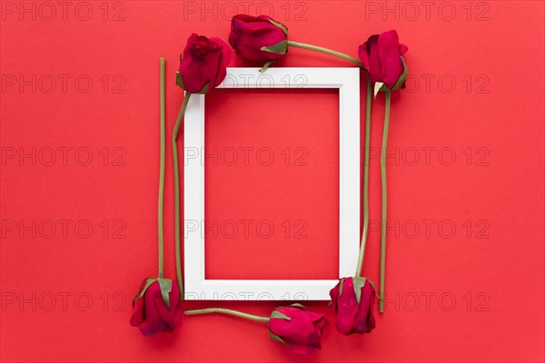 Frame fresh flowers