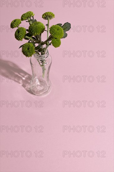 Blossom flowers vase table 3