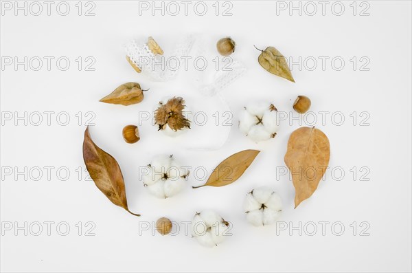 Flat lay cotton flowers assortment